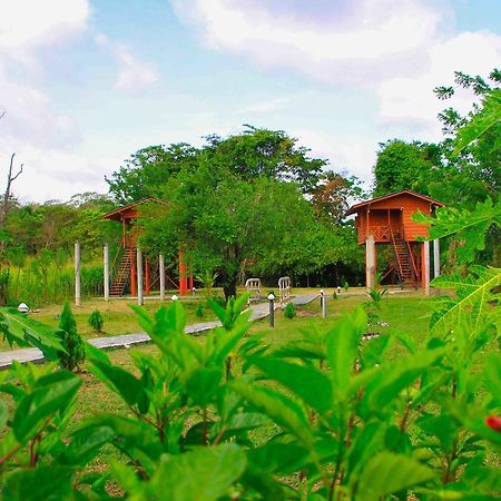 Hotel Sigiri Royal Point Tree House à Sigirîya Extérieur photo