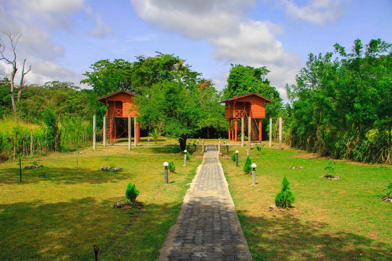 Hotel Sigiri Royal Point Tree House à Sigirîya Extérieur photo