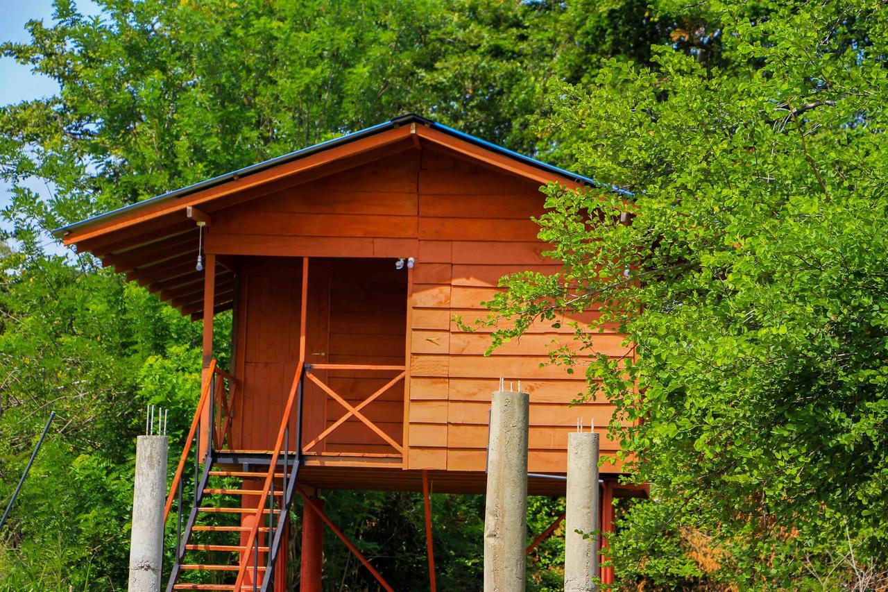 Hotel Sigiri Royal Point Tree House à Sigirîya Extérieur photo