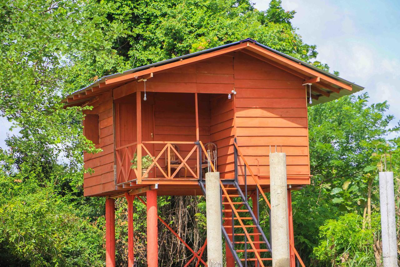 Hotel Sigiri Royal Point Tree House à Sigirîya Extérieur photo
