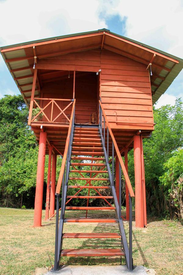 Hotel Sigiri Royal Point Tree House à Sigirîya Extérieur photo