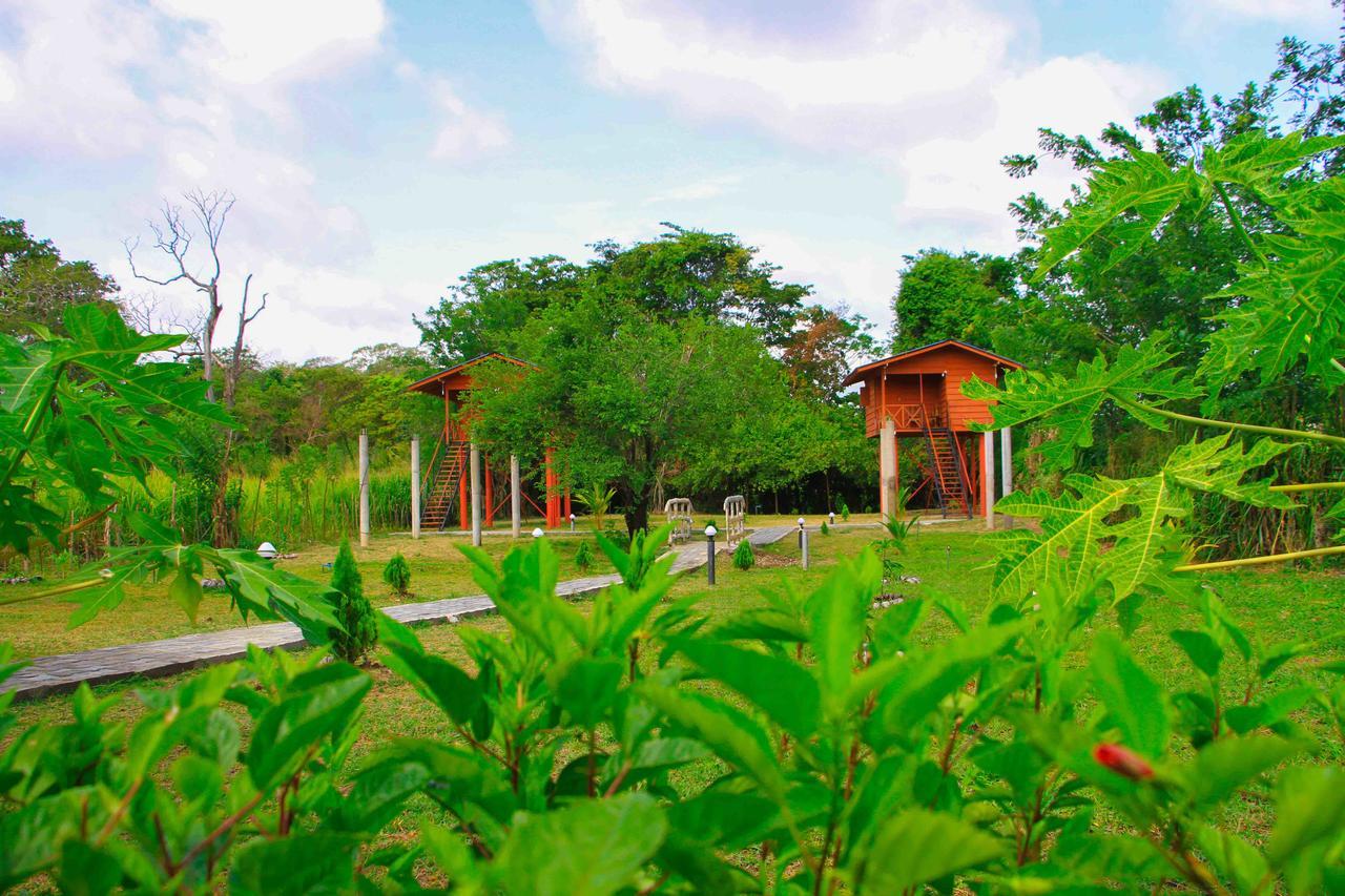 Hotel Sigiri Royal Point Tree House à Sigirîya Extérieur photo
