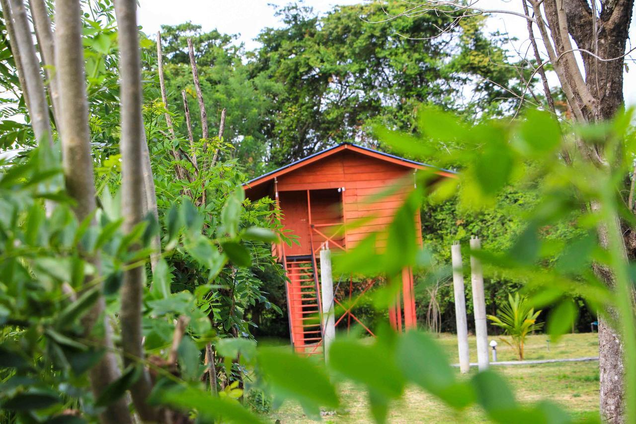 Hotel Sigiri Royal Point Tree House à Sigirîya Extérieur photo