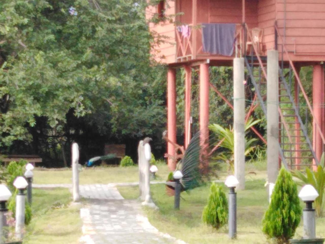 Hotel Sigiri Royal Point Tree House à Sigirîya Extérieur photo